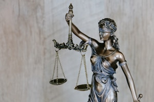 法律咨詢心得體會：實戰(zhàn)經(jīng)驗與深刻啟示