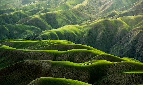 寧?kù)o森林中的冥想場(chǎng)景
